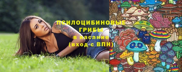 герыч Арсеньев