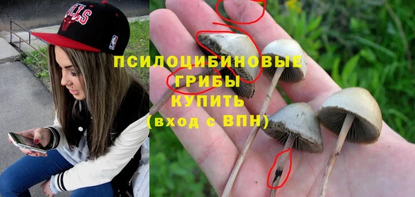 ПСИЛОЦИБИНОВЫЕ ГРИБЫ Переславль-Залесский