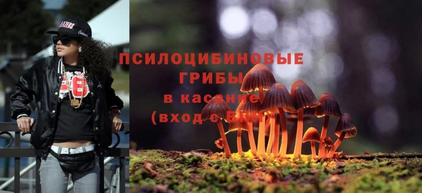 герыч Арсеньев